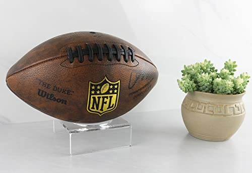 NFL football on stand beside a potted succulent